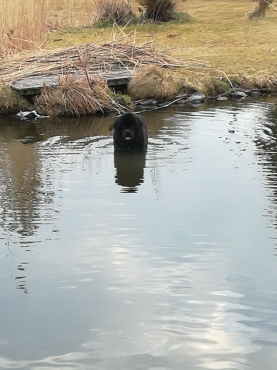 Bild(vereinsleben/bilder/Wasser Bilder/IMG-20180403-WA0006.jpg) konnte nicht geladen werden